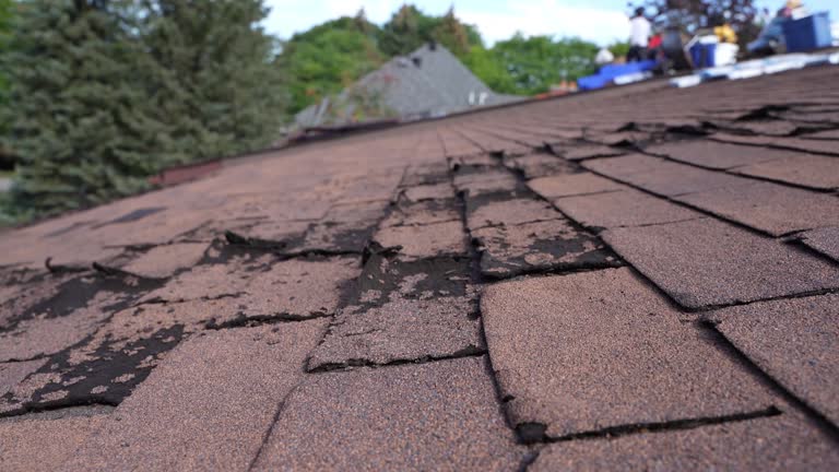 Best 4 Ply Roofing  in Eldorado, IL