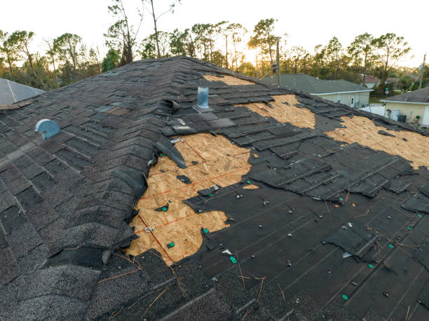 Best Storm Damage Roof Repair  in Eldorado, IL