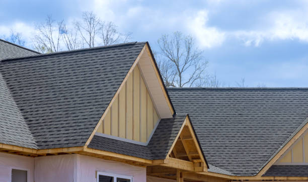 Best Roof Insulation Installation  in Eldorado, IL