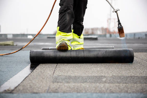 Best Cold Roofs  in Eldorado, IL