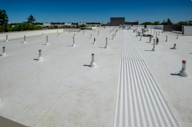 Best Roof Moss and Algae Removal  in Eldorado, IL